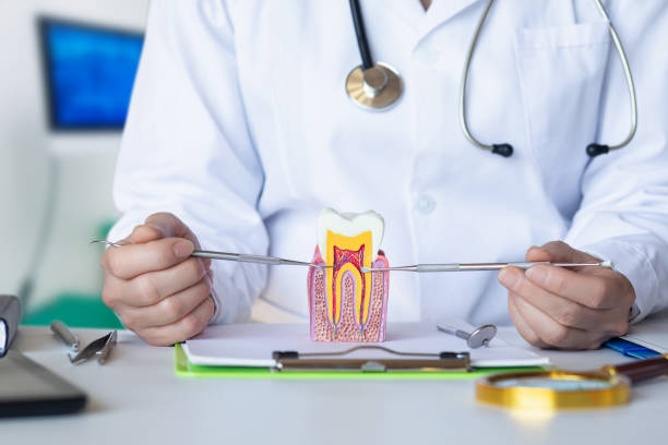 Best Emergency Root Canal Treatment in Glencoe, FL